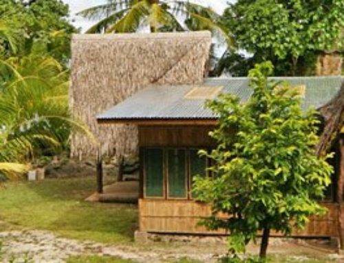 <Travel><帛琉><Palau進階版帛琉行程>帛琉無人島遊　特別介紹Ngellil Island