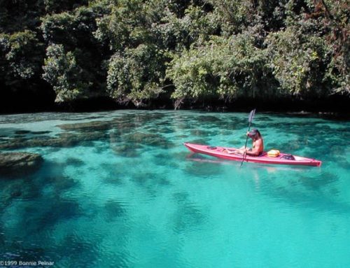 <Travel><帛琉><Palau進階版帛琉行程> 獨木舟Kayak