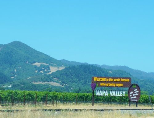<Travel><2013美西@Napa Valley> 遊加州納帕酒莊，假上流癮再發作